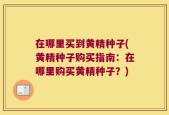 在哪里买到黄精种子(黄精种子购买指南：在哪里购买黄精种子？)