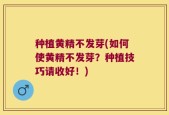 种植黄精不发芽(如何使黄精不发芽？种植技巧请收好！)