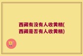 西藏有没有人收黄精(西藏是否有人收黄精)
