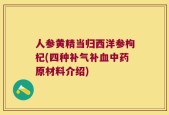 人参黄精当归西洋参枸杞(四种补气补血中药原材料介绍)