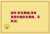 漳州 野生黄精(漳州发现珍稀野生黄精，引关注)