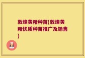 敦煌黄精种苗(敦煌黄精优质种苗推广及销售)