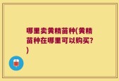 哪里卖黄精苗种(黄精苗种在哪里可以购买？)