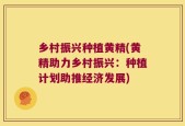 乡村振兴种植黄精(黄精助力乡村振兴：种植计划助推经济发展)