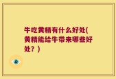 牛吃黄精有什么好处(黄精能给牛带来哪些好处？)