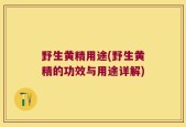 野生黄精用途(野生黄精的功效与用途详解)