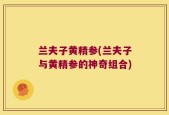 兰夫子黄精参(兰夫子与黄精参的神奇组合)