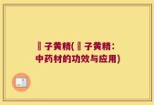 矷子黄精(矷子黄精：中药材的功效与应用)