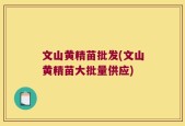 文山黄精苗批发(文山黄精苗大批量供应)