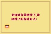 怎样储存黄精种子(黄精种子的存储方法)