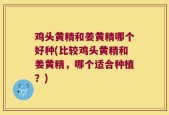 鸡头黄精和姜黄精哪个好种(比较鸡头黄精和姜黄精，哪个适合种植？)