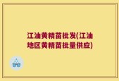 江油黄精苗批发(江油地区黄精苗批量供应)