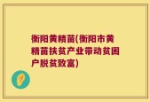 衡阳黄精苗(衡阳市黄精苗扶贫产业带动贫困户脱贫致富)