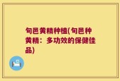 旬邑黄精种植(旬邑种黄精：多功效的保健佳品)