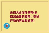 云南大山深处黄精(云南深山里的黄精：探秘产地的历史和故事)