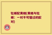 牡蛎配黄精(黄精与牡蛎：一对不可错过的配对)