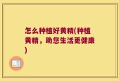 怎么种植好黄精(种植黄精，助您生活更健康)