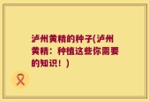 泸州黄精的种子(泸州黄精：种植这些你需要的知识！)
