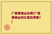 广西黄精山在哪(广西黄精山的位置在哪里？)