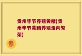 贵州毕节养殖黄精(贵州毕节黄精养殖走向繁荣)