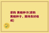 求购 黄精种子(求购黄精种子，期待良好收成)