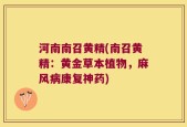 河南南召黄精(南召黄精：黄金草本植物，麻风病康复神药)