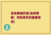 吉林黄精药用(吉林黄精：传统草药的重要用途)