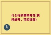 什么样的黄精开花(黄精盛开，花团锦簇)