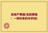东阳产黄精(东阳黄精：一种珍贵的中药材)