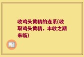 收鸡头黄精的连系(收取鸡头黄精，丰收之期来临)