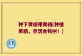 种下黄精赚黄精(种植黄精，养活金钱树！)