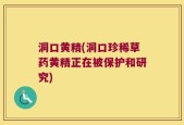 洞口黄精(洞口珍稀草药黄精正在被保护和研究)