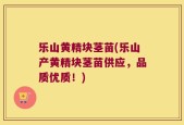 乐山黄精块茎苗(乐山产黄精块茎苗供应，品质优质！)