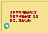 淮安黄精种植基地(淮安黄精种植基地：悠然田园，黄金收成)