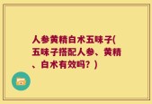 人参黄精白术五味子(五味子搭配人参、黄精、白术有效吗？)