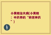 小黄精治大病(小黄精：中药界的“救世神药”)