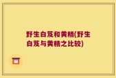 野生白芨和黄精(野生白芨与黄精之比较)