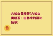 九如山黄精茶(九如山黄精茶：山林中的滋补仙草)