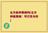 北方能种黄精吗(北方种植黄精：可行性分析)