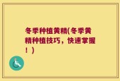 冬季种植黄精(冬季黄精种植技巧，快速掌握！)