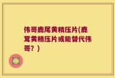 伟哥鹿尾黄精压片(鹿茸黄精压片或能替代伟哥？)