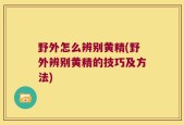 野外怎么辨别黄精(野外辨别黄精的技巧及方法)