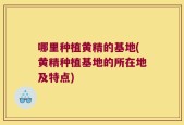 哪里种植黄精的基地(黄精种植基地的所在地及特点)