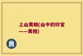 上山黄精(山中的珍宝——黄精)