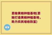 恩施黄精种植基地(恩施打造黄精种植基地，助力农民增收致富)
