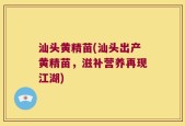 汕头黄精苗(汕头出产黄精苗，滋补营养再现江湖)