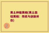 黄土种植黄精(黄土栽培黄精：传统与创新并存)