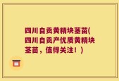 四川自贡黄精块茎苗(四川自贡产优质黄精块茎苗，值得关注！)