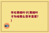 羊吃黄精叶子(黄精叶子为啥那么受羊喜爱？)