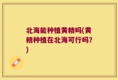 北海能种植黄精吗(黄精种植在北海可行吗？)